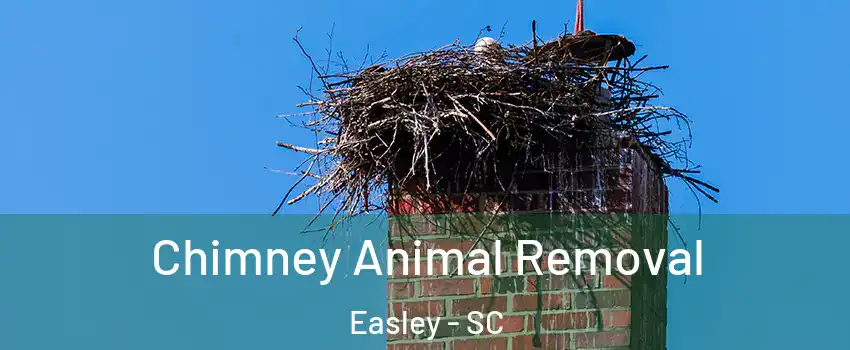  Chimney Animal Removal Easley - SC