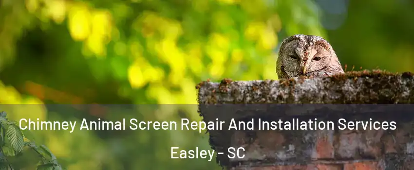  Chimney Animal Screen Repair And Installation Services Easley - SC