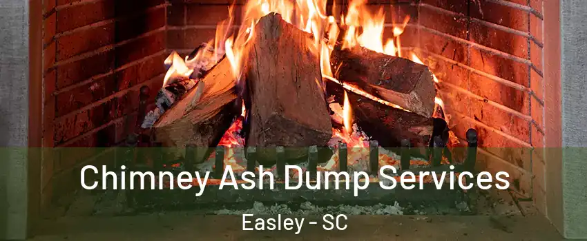  Chimney Ash Dump Services Easley - SC