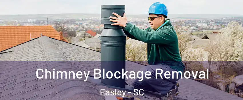  Chimney Blockage Removal Easley - SC