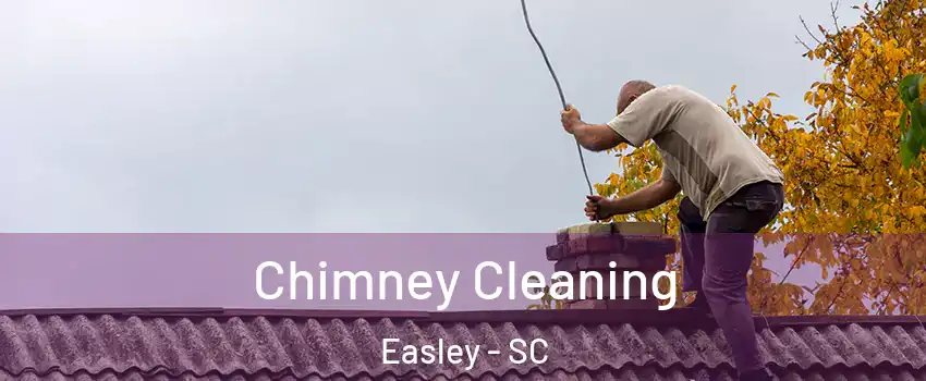  Chimney Cleaning Easley - SC