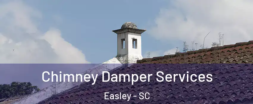  Chimney Damper Services Easley - SC