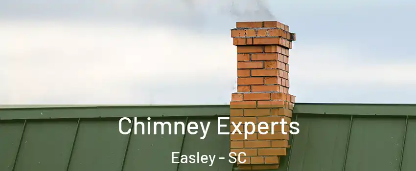  Chimney Experts Easley - SC