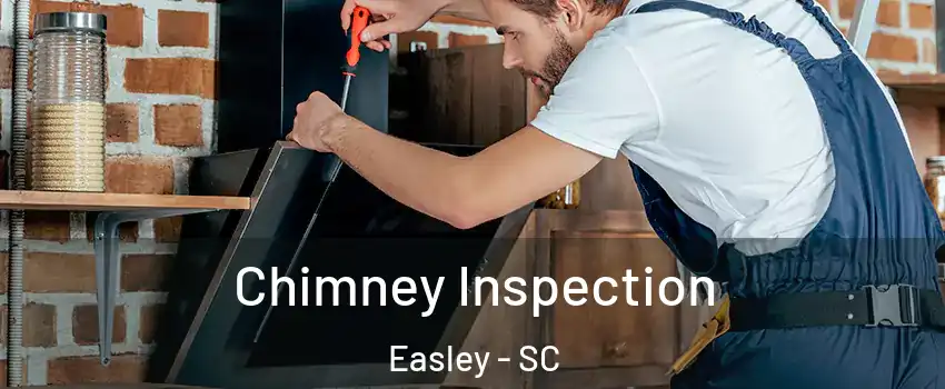  Chimney Inspection Easley - SC