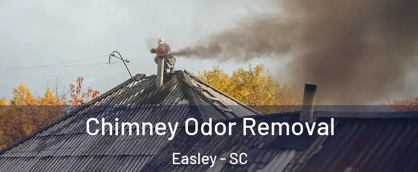  Chimney Odor Removal Easley - SC