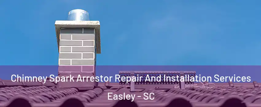  Chimney Spark Arrestor Repair And Installation Services Easley - SC