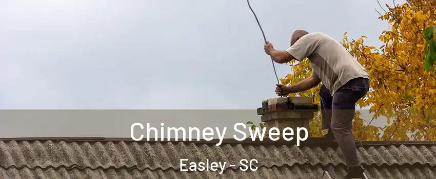  Chimney Sweep Easley - SC