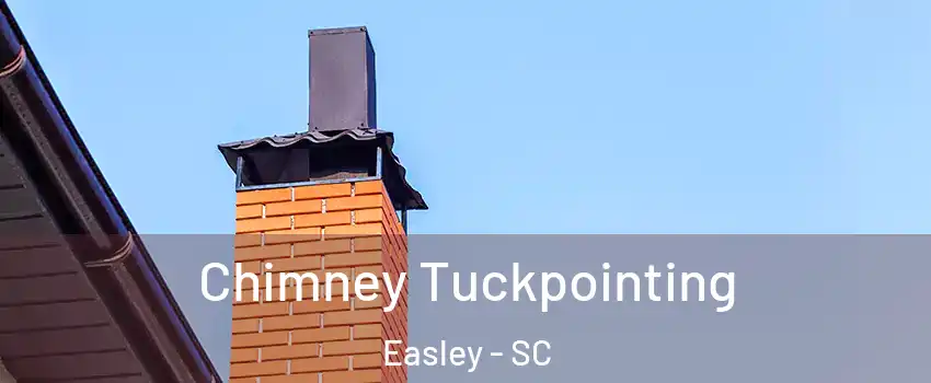  Chimney Tuckpointing Easley - SC