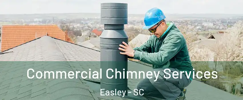  Commercial Chimney Services Easley - SC
