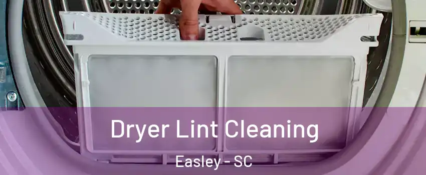  Dryer Lint Cleaning Easley - SC
