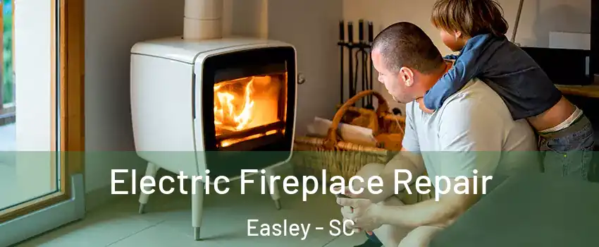  Electric Fireplace Repair Easley - SC