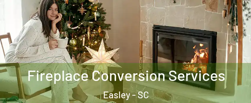  Fireplace Conversion Services Easley - SC