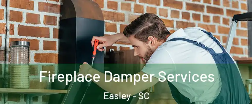  Fireplace Damper Services Easley - SC