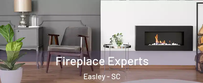  Fireplace Experts Easley - SC