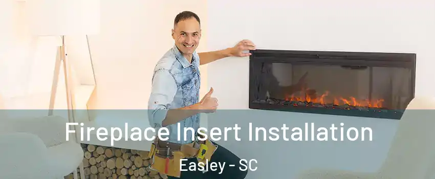  Fireplace Insert Installation Easley - SC