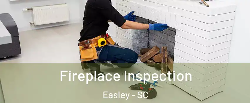  Fireplace Inspection Easley - SC