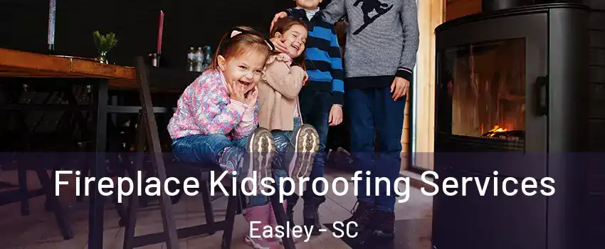  Fireplace Kidsproofing Services Easley - SC