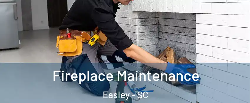  Fireplace Maintenance Easley - SC