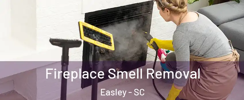  Fireplace Smell Removal Easley - SC