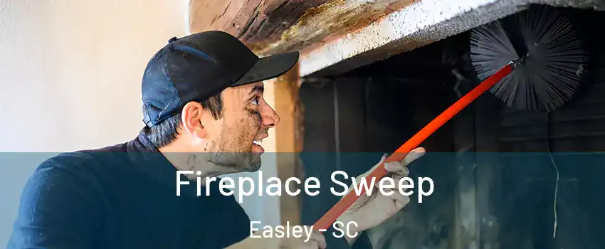  Fireplace Sweep Easley - SC