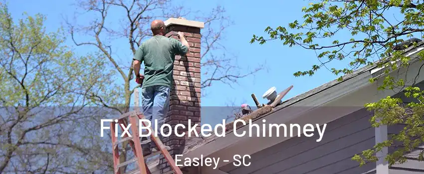  Fix Blocked Chimney Easley - SC
