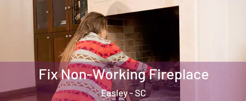  Fix Non-Working Fireplace Easley - SC