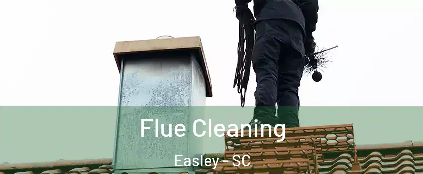 Flue Cleaning Easley - SC