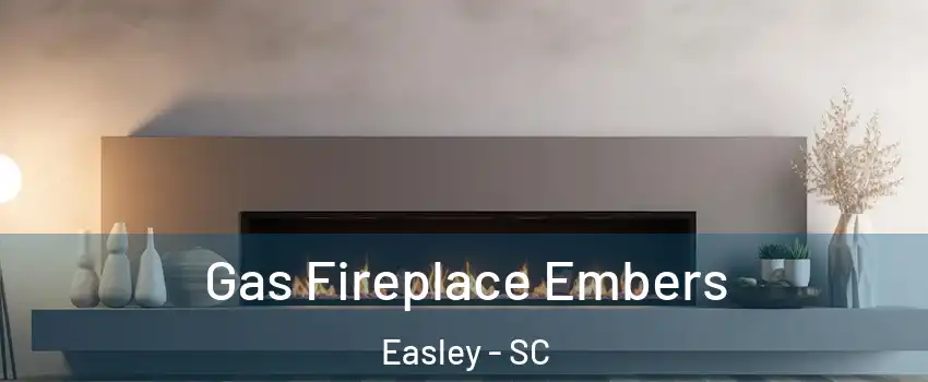 Gas Fireplace Embers Easley - SC