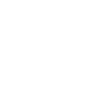 Professional Chimney Flue Installation in Easley, South Carolina