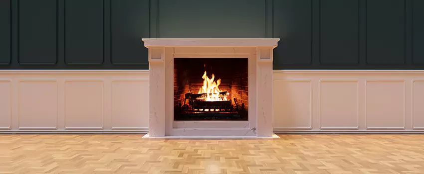 Napoleon Electric Fireplaces Inspection Service in Easley, South Carolina