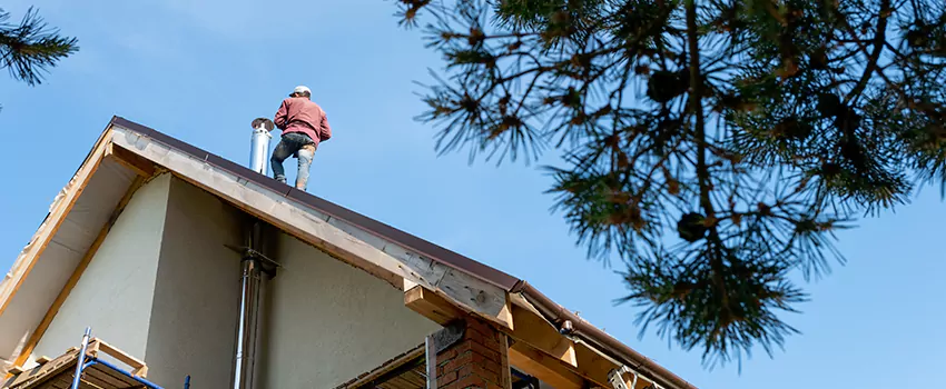 Birds Removal Contractors from Chimney in Easley, SC