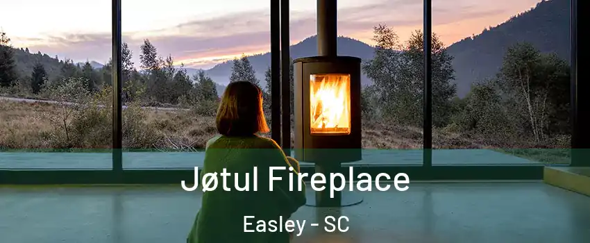 Jøtul Fireplace Easley - SC