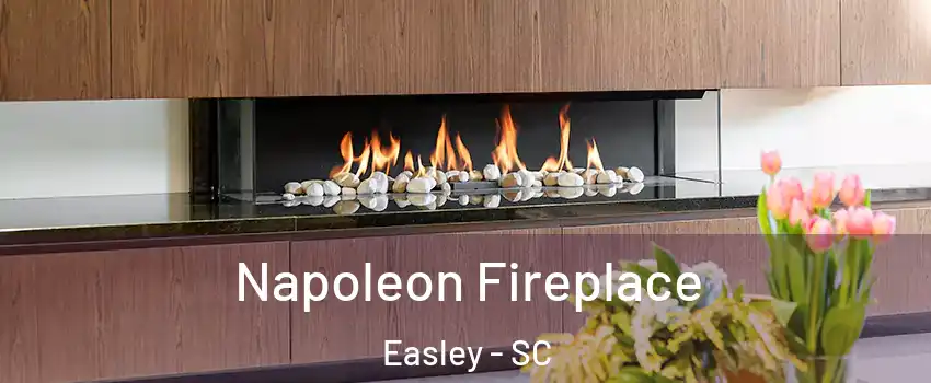  Napoleon Fireplace Easley - SC
