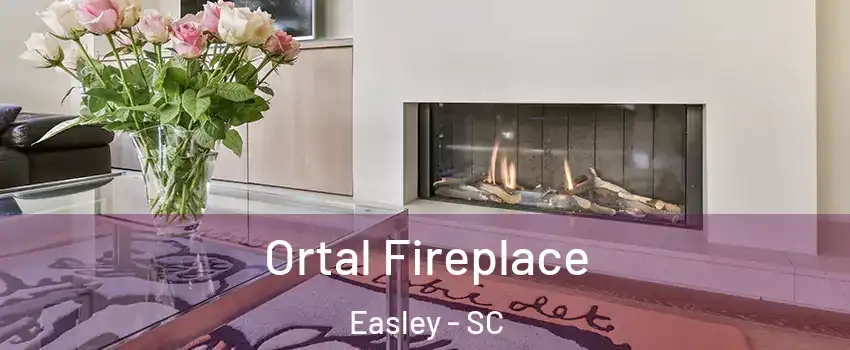  Ortal Fireplace Easley - SC