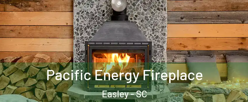 Pacific Energy Fireplace Easley - SC